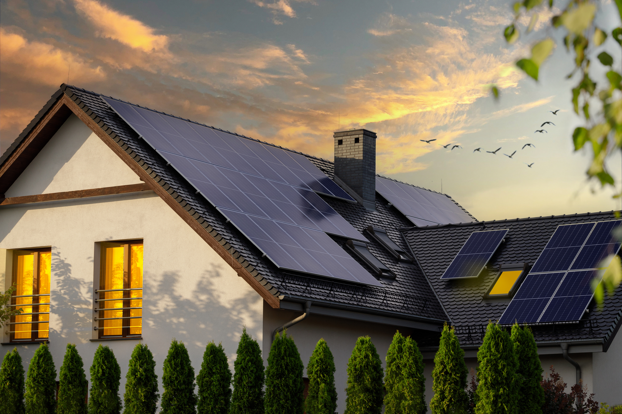 découvrez l'avenir des panneaux photovoltaïques : innovations, technologies émergentes et impact sur l'énergie renouvelable pour un monde plus durable. explorez comment cette source d'énergie solaire transforme notre avenir écologique.