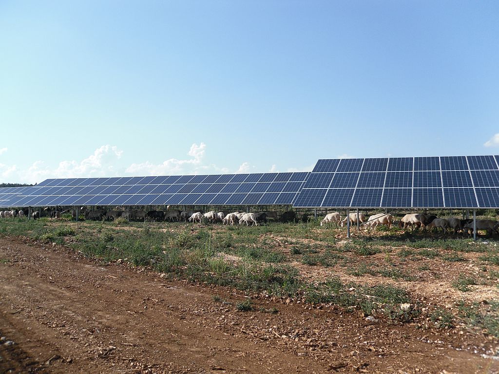 découvrez les avis sur les panneaux solaires engie, une solution durable pour réduire votre facture d'électricité et contribuer à la protection de l'environnement. obtenez des retours d'expérience d'utilisateurs et toutes les informations pour faire le bon choix.