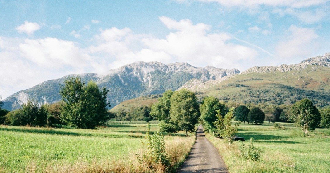 découvrez notre analyse approfondie des avis sur les panneaux solaires ikea en belgique. informez-vous sur les avantages, les inconvénients et les expériences des utilisateurs pour faire un choix éclairé sur votre projet d'énergie renouvelable.