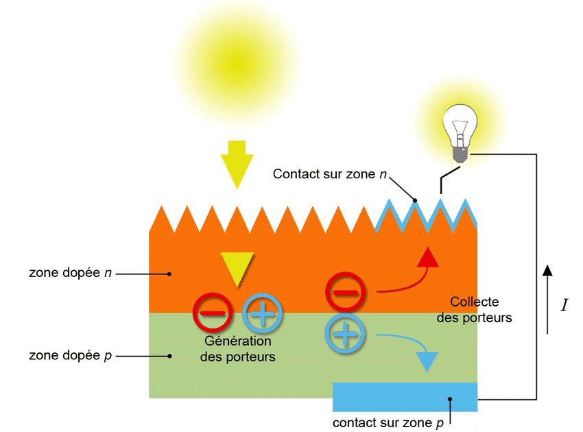 découvrez comment les cellules photovoltaïques peuvent générer des économies significatives sur vos factures d'électricité. apprenez à optimiser votre investissement énergétique grâce à l'énergie solaire.