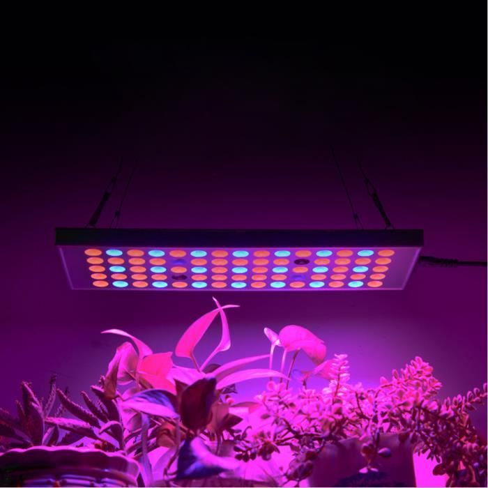 découvrez notre lampe de croissance solaire, une solution innovante et respectueuse de l'environnement pour optimiser la photosynthèse de vos plantes tout en réduisant votre empreinte carbone. idéale pour les jardiniers amateurs et les professionnels, elle garantit un éclairage efficace grâce à ses panneaux solaires intégrés. profitez d'une culture saine et durable, quelle que soit la saison !