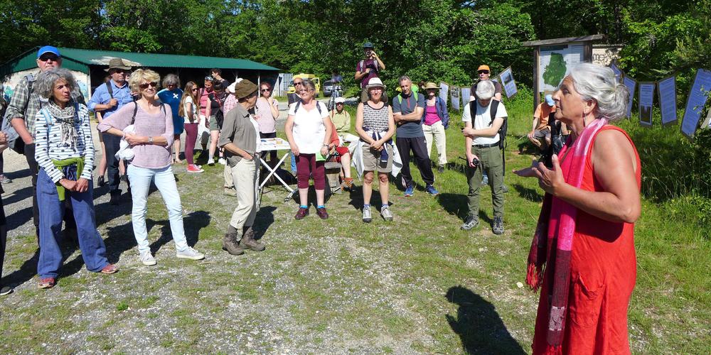 découvrez les enjeux et les actions de la mobilisation contre l'installation de panneaux photovoltaïques. informez-vous sur les préoccupations locales, les impacts environnementaux et les solutions alternatives favorisées par la communauté.