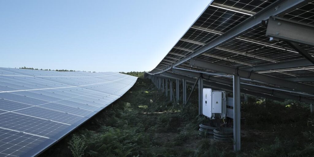 découvrez les enjeux et les actions de la mobilisation contre l'implantation de panneaux photovoltaïques. informez-vous sur les préoccupations environnementales et sociales qui animent ce mouvement.