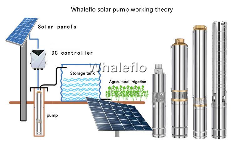 découvrez notre panneau solaire 48v 500w, idéal pour maximiser votre production d'énergie renouvelable. parfait pour les maisons, les lieux isolés ou les systèmes de stockage d'énergie, ce panneau offre une efficacité optimale et une durabilité exceptionnelle. optez pour une solution écologique et économique dès aujourd'hui !