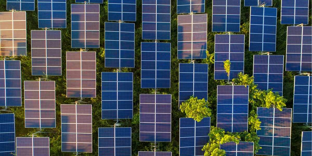découvrez nos panneaux photovoltaïques écologiques, une solution durable et efficace pour produire de l'énergie renouvelable. optez pour une consommation responsable et réduisez votre empreinte carbone tout en réalisant des économies sur vos factures d'électricité.
