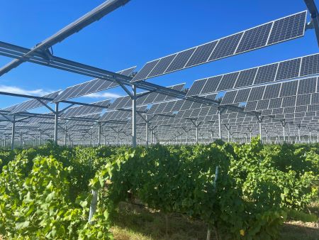 découvrez les panneaux solaires engie, la solution idéale pour produire votre propre énergie renouvelable. profitez d'une installation fiable et d'un accompagnement personnalisé pour réduire votre facture d'électricité et contribuer à la protection de l'environnement.