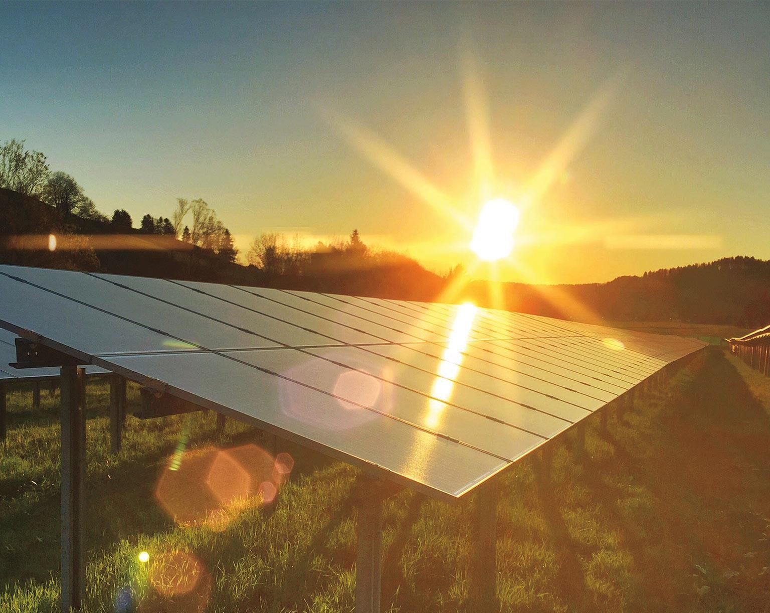 découvrez comment les panneaux solaires en france peuvent transformer votre consommation d'énergie. obtenez toutes les clés pour comprendre leur fonctionnement, les avantages économiques et environnementaux, ainsi que les aides disponibles pour une installation réussie.