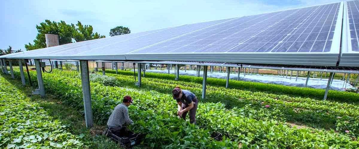 découvrez les avantages du photovoltaïque agricole, une solution idéale pour les agriculteurs souhaitant optimiser leur production tout en préservant l'environnement. apprenez comment la puissance du soleil peut transformer vos exploitations tout en réduisant vos coûts d'énergie.