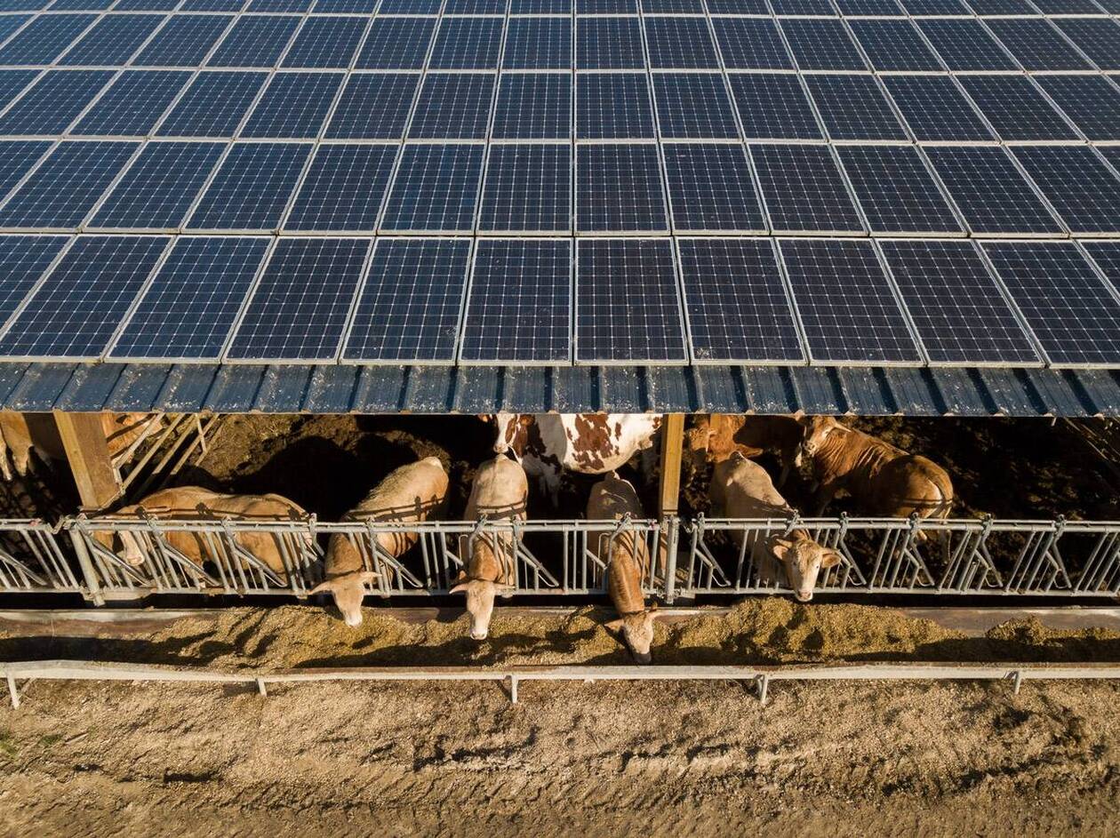 découvrez comment le photovoltaïque agricole transforme les exploitations agricoles en sources d'énergie renouvelable. optimisez votre production tout en réduisant votre empreinte carbone grâce à des solutions solaires adaptées à vos besoins.