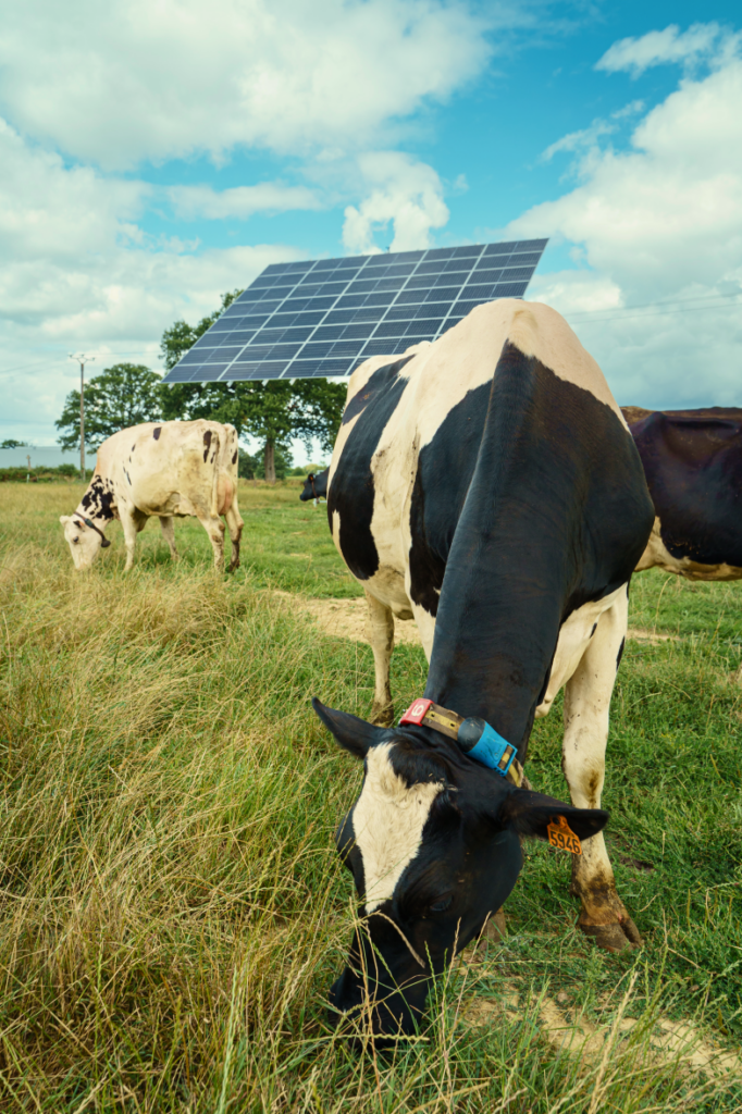 découvrez les avantages du photovoltaïque agricole durable pour optimiser la production énergétique de votre exploitation tout en préservant l'environnement. transformez vos terrains en sources d'énergie renouvelable et alliez performance économique et écoresponsabilité.