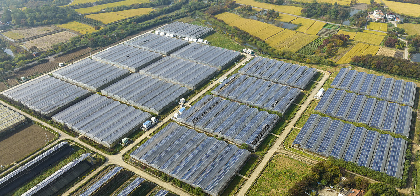 découvrez comment le photovoltaïque agricole durable transforme l'agriculture en alliant production d'énergie renouvelable et préservation de l'environnement. optez pour des solutions durables qui favorisent l'autonomie énergétique des exploitations agricoles tout en réduisant l'empreinte carbone.