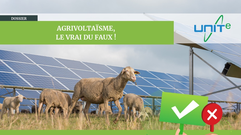 découvrez les idées reçues sur l'énergie solaire et démystifiez les préjugés qui entourent cette source d'énergie renouvelable. apprenez pourquoi l'énergie solaire est une solution durable et ses réels avantages pour l'environnement et l'économie.