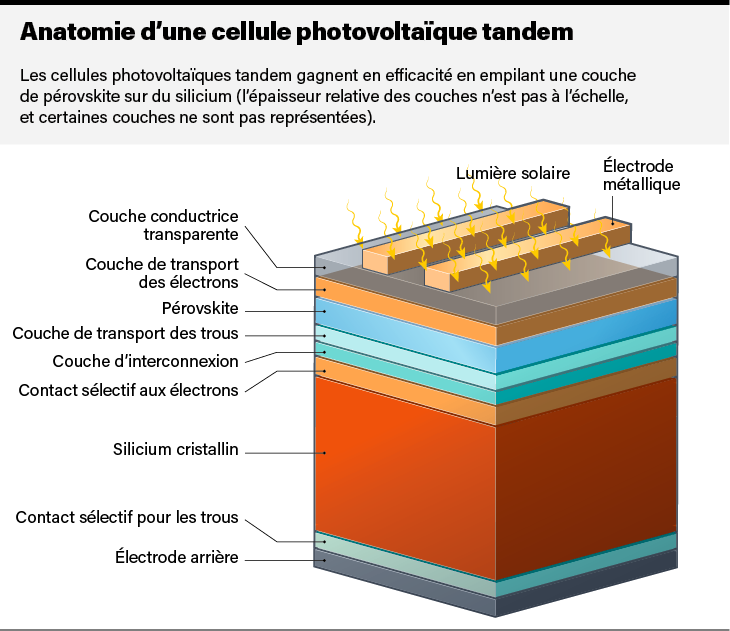découvrez les différents types de cellules photovoltaïques disponibles sur le marché. apprenez à choisir celles qui conviennent le mieux à vos besoins énergétiques, en explorant les technologies, l'efficacité et les avantages de chaque type. optez pour l'énergie solaire et maximisez votre production d'électricité verte !
