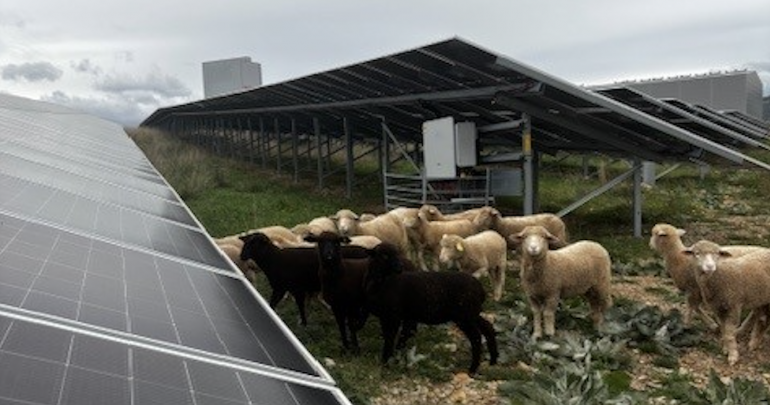 découvrez comment une centrale solaire innovante alimente en énergie verte 6 500 habitants en aveyron, contribuant à un avenir durable et écologique.