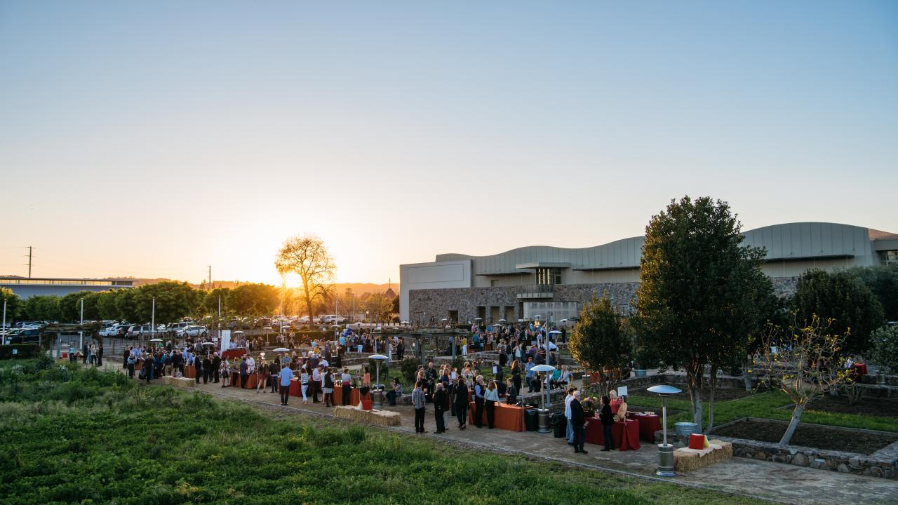 découvrez l'histoire fascinante du champ solaire abandonné du napa valley college, un site emblématique mêlant technologie et nature dans la région viticole de la californie.