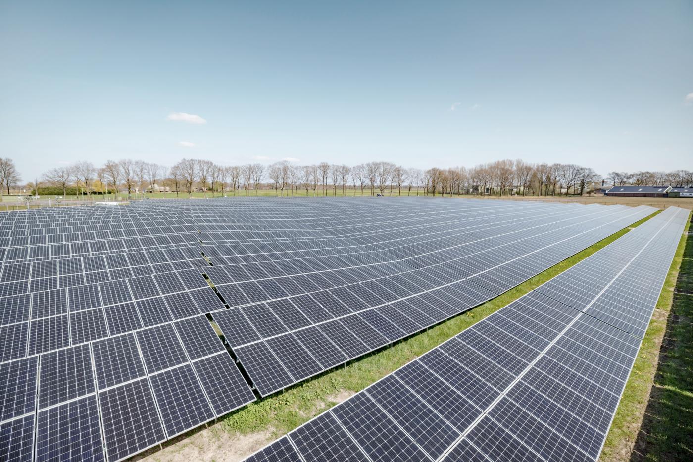 découvrez comment les panneaux solaires sur les terres agricoles révolutionnent la production d'énergie tout en préservant l'environnement et l'agriculture durable.