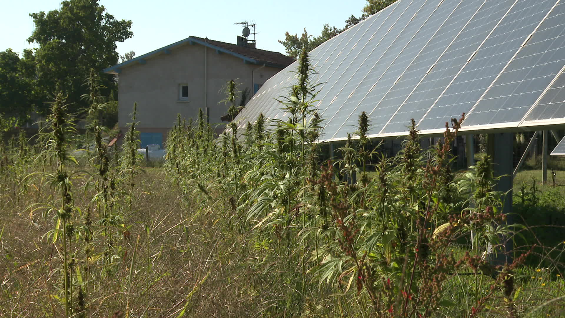 découvrez comment les panneaux solaires recyclés près de grenoble offrent une nouvelle source durable de métaux rares, contribuant à l'économie circulaire et à la transition énergétique.