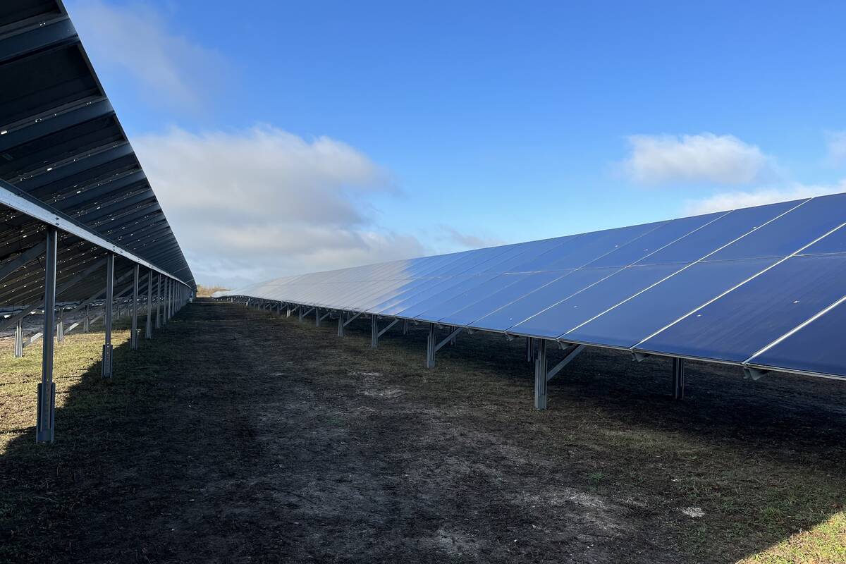 découvrez comment valenciaport intègre des panneaux solaires piétonniers pour promouvoir une énergie durable et améliorer l'infrastructure portuaire écologique.