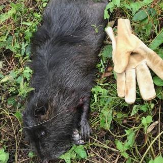 amigny-rouy se prépare à accueillir un grand parc solaire, un projet ambitieux pour promouvoir les énergies renouvelables et un avenir plus durable.