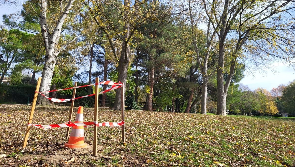 découvrez les controverses autour de l'installation de 20 000 panneaux photovoltaïques à lambesc, entre enjeux environnementaux et débats locaux.